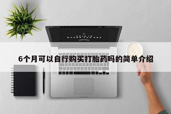 有没有私人卖打胎药的店6个月可以自行购买打胎药吗的简单介绍